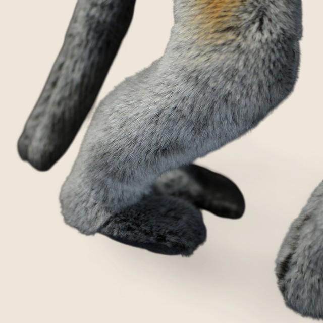 長鼻猿のふわふわぬいぐるみ