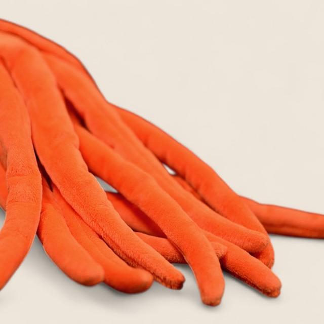 オルソケラス ナウティロイド 硬核頭足類 ふわふわ柔らかぬいぐるみ