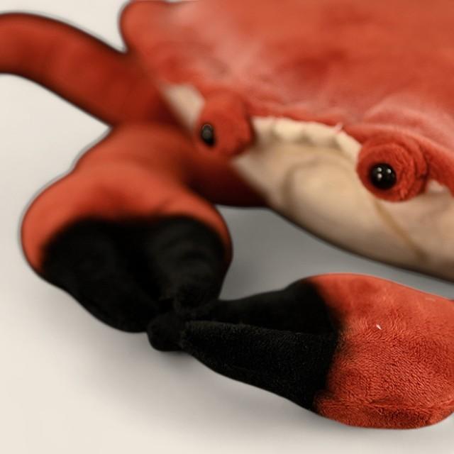 レッドロッククラブ ソフト詰め合わせぬいぐるみ