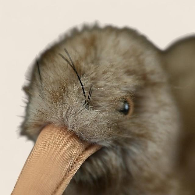 キウイバードの柔らかいぬいぐるみ