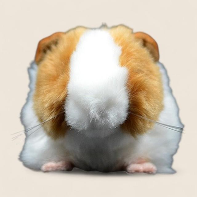 モルモットのふわふわぬいぐるみ玩具