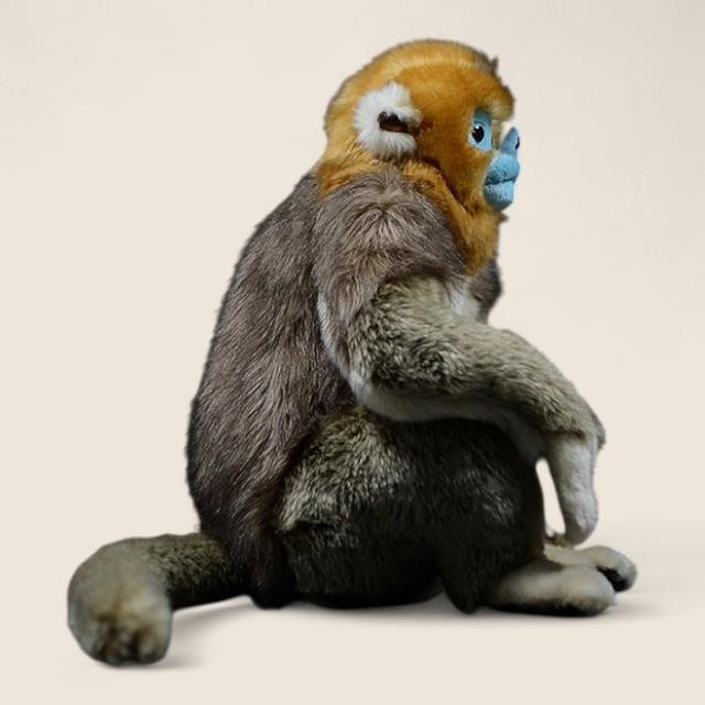 ゴールデンスナブノーズモンキービッグなぬいぐるみ