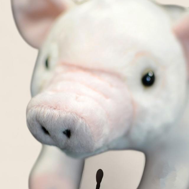 国内産豚やわらか綿入りぬいぐるみ