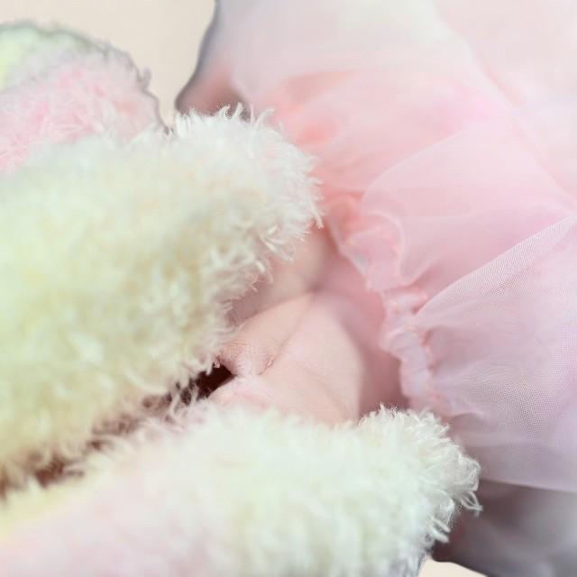 リバージェリーフィッシュ柔らかいぬいぐるみ