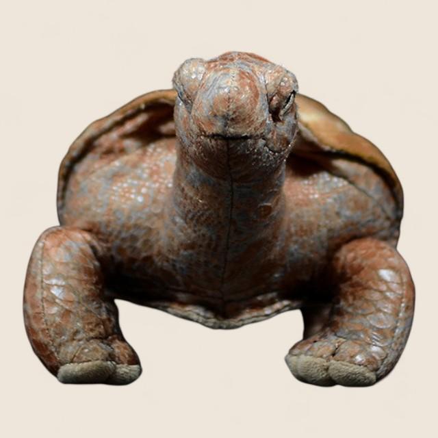 ガラパゴスゾウガメのやわらかいぬいぐるみ
