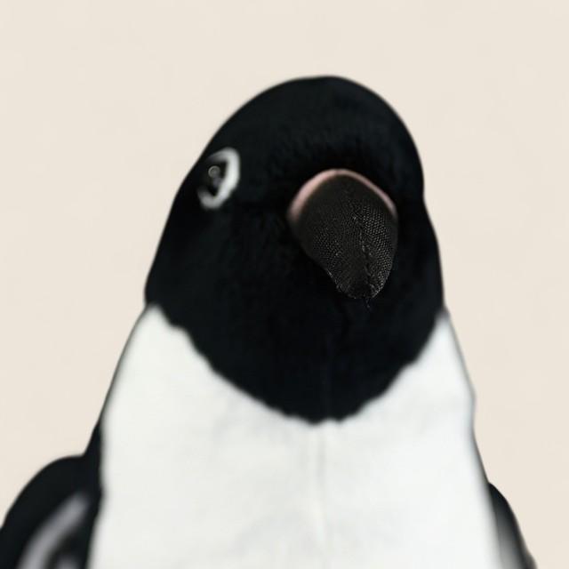アデリーペンギンの柔らかいぬいぐるみおもちゃ