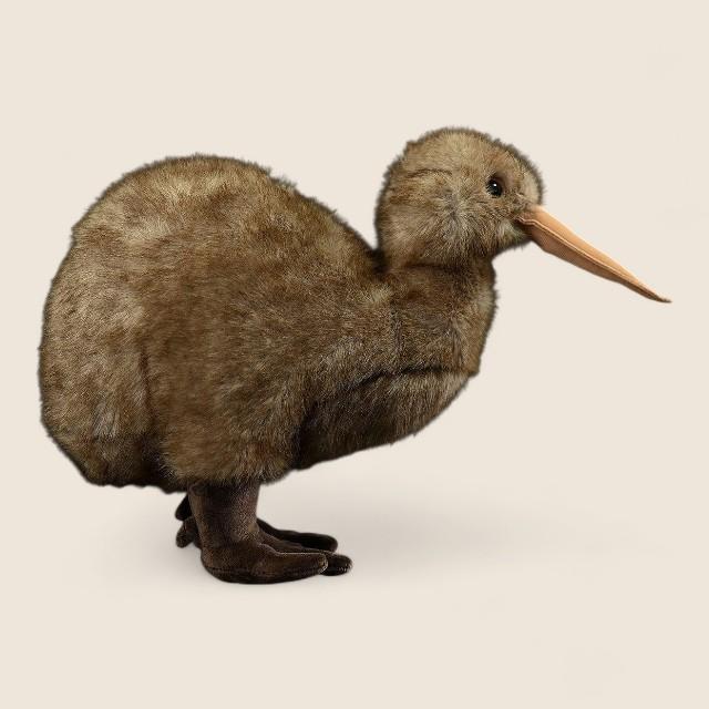 キウイバードの柔らかいぬいぐるみ