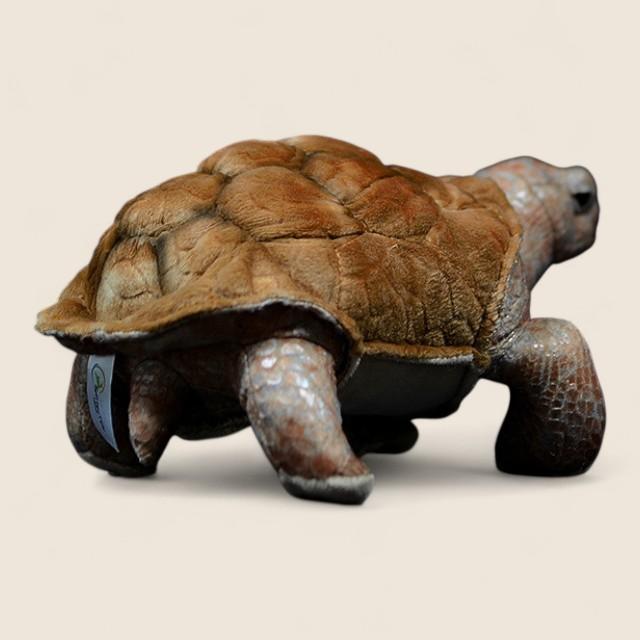ガラパゴスゾウガメのやわらかいぬいぐるみ