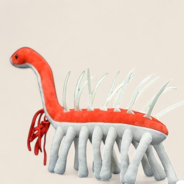 ハルシジジェニアカンブリア動物柔らかいぬいぐるみ