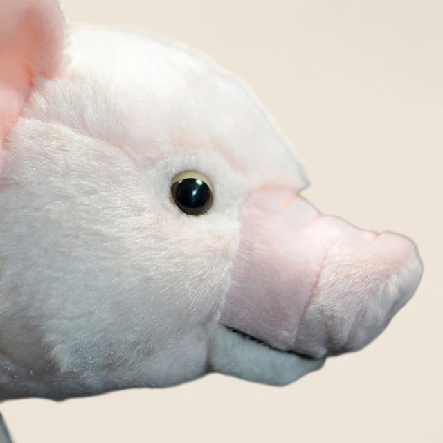 国内産豚やわらか綿入りぬいぐるみ