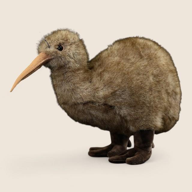 キウイバードの柔らかいぬいぐるみ