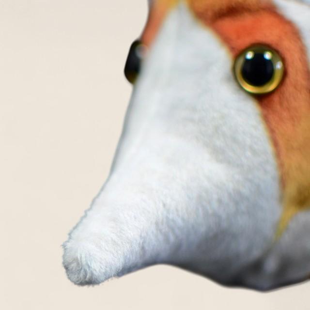 コッパーバンドバタフライフィッシュ ソフトぬいぐるみ