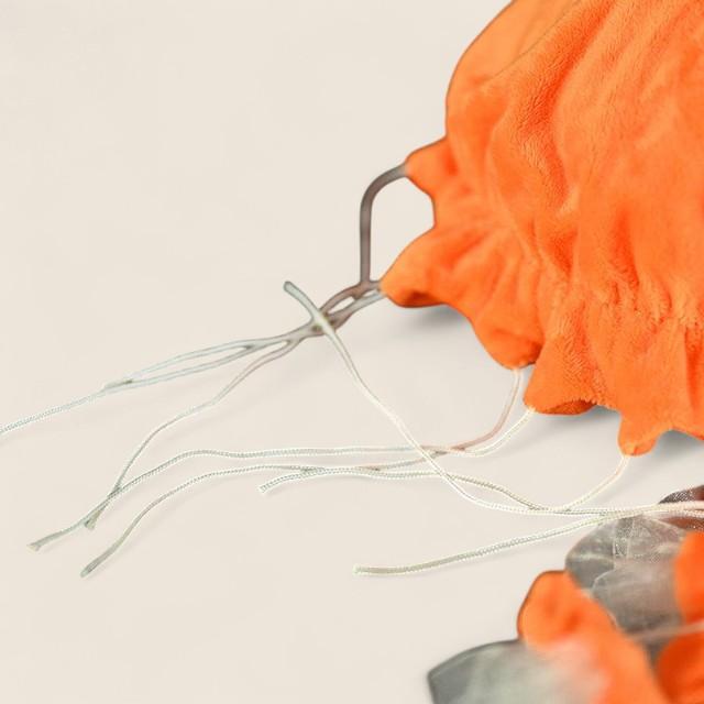 太平洋シーネトルクラゲ ソフトぬいぐるみ