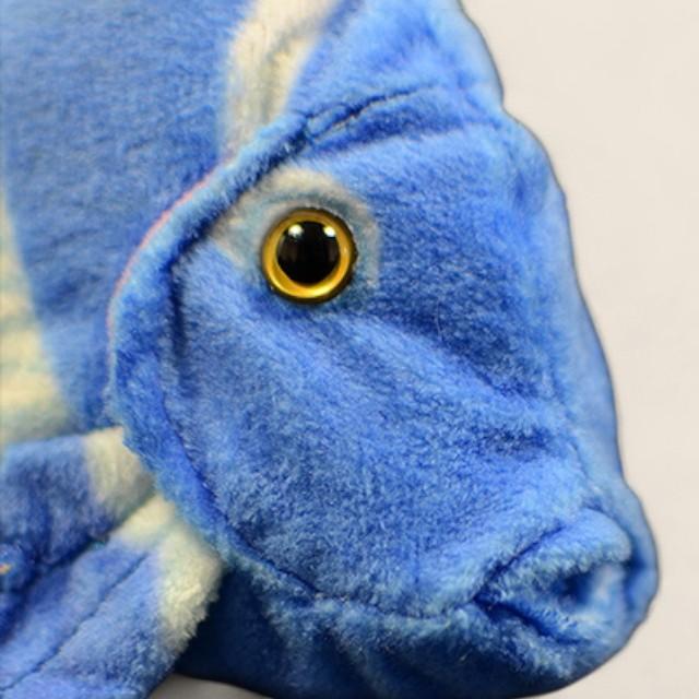 アトランティックブルータングフィッシュ ソフトぬいぐるみ