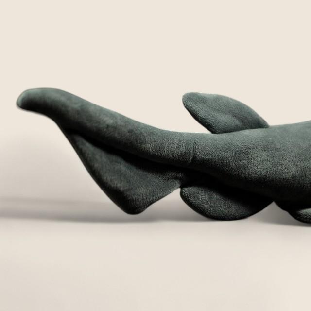 フリルドシャークのソフトぬいぐるみ