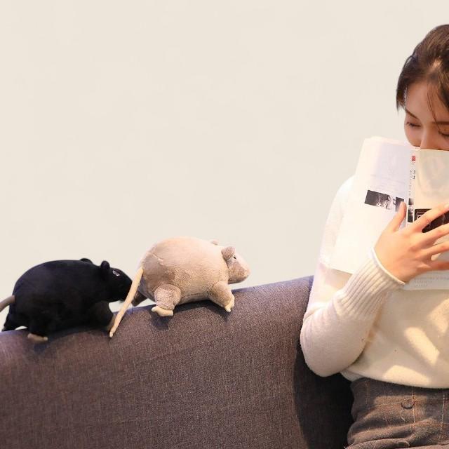 マウス・ラット ソフト ぬいぐるみ人形