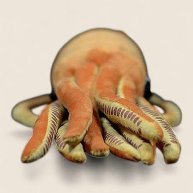 巨大深海生物 アーチテウス巨大イカ ぬいぐるみ