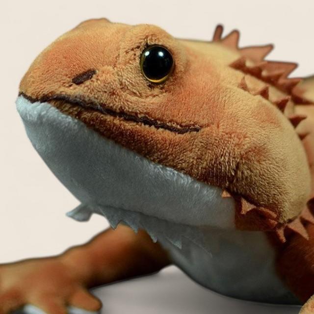 ヒゲトカゲのフトッシードぬいぐるみ