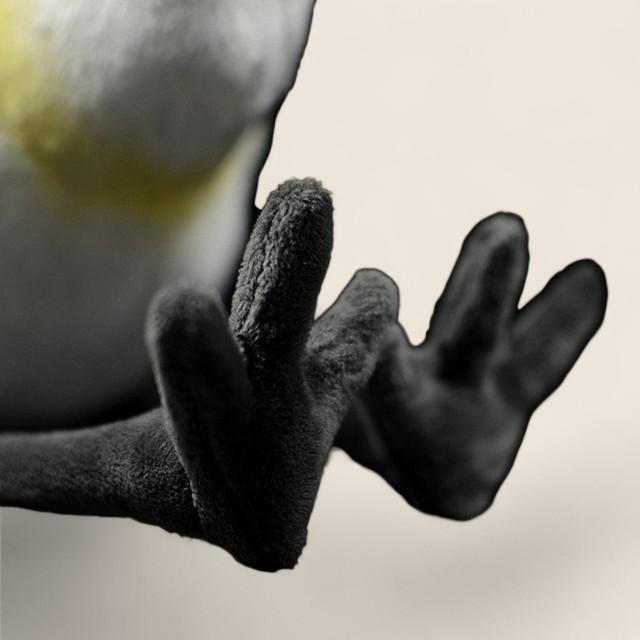 クロマダラチュウシャクシギの柔らかいぬいぐるみおもちゃ