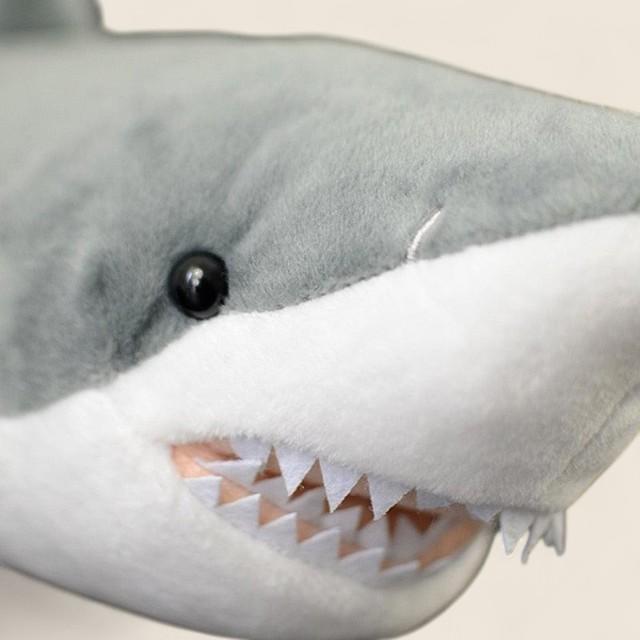 ホワイトシャーク ソフトぬいぐるみ