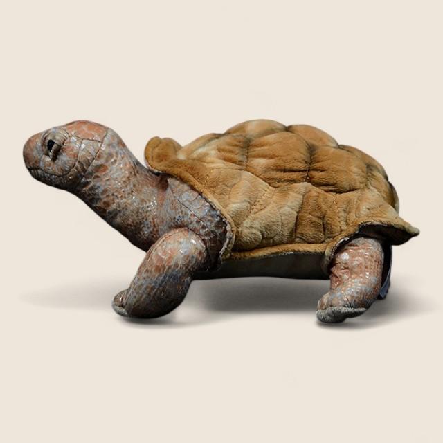 ガラパゴスゾウガメのやわらかいぬいぐるみ