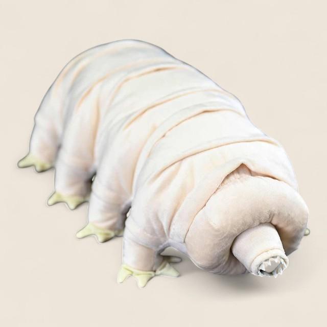 ターディグラード・ウォーターベア ソフトぬいぐるみ