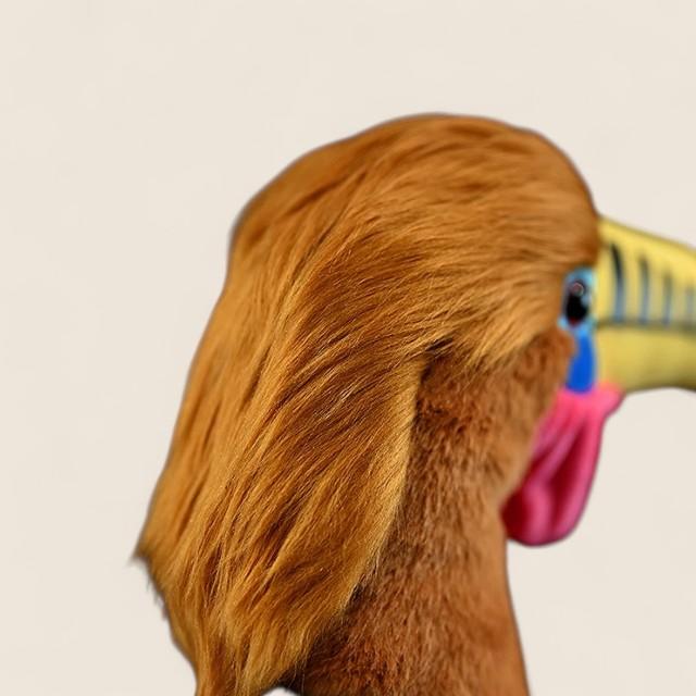 ルビオハナグロクチバシカラスのぬいぐるみ