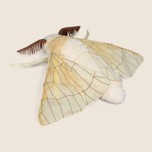 シルクマ moth ソフト ぬいぐるみ