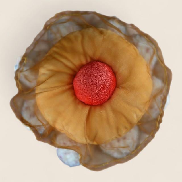 揚げ卵クラゲふわふわぬいぐるみ