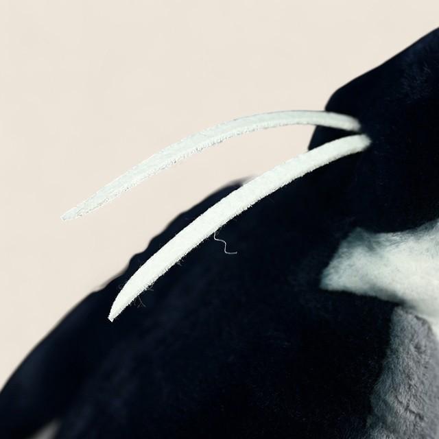 ナイトハレーン鳥のソフトぬいぐるみ