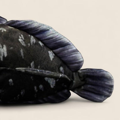 コエラカンサス ソフトぬいぐるみ