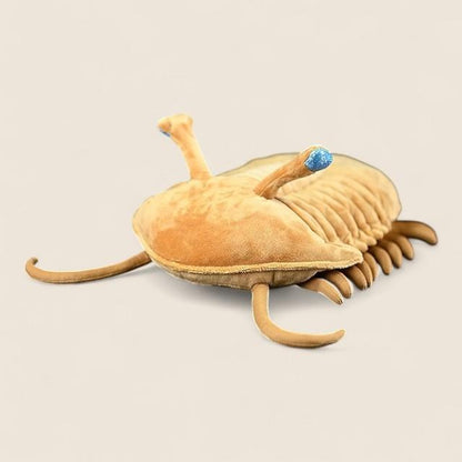 アサフス・コワレフスキー三葉虫 ふわふわぬいぐるみ