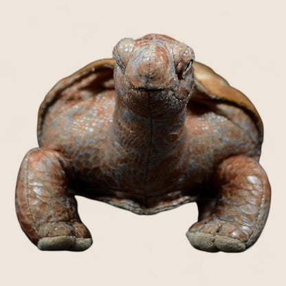 ガラパゴスゾウガメのやわらかいぬいぐるみ