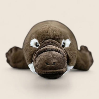 カモノハシ ソフトぬいぐるみ