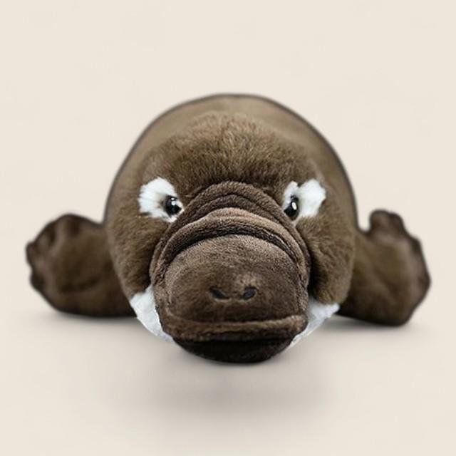 カモノハシ ソフトぬいぐるみ