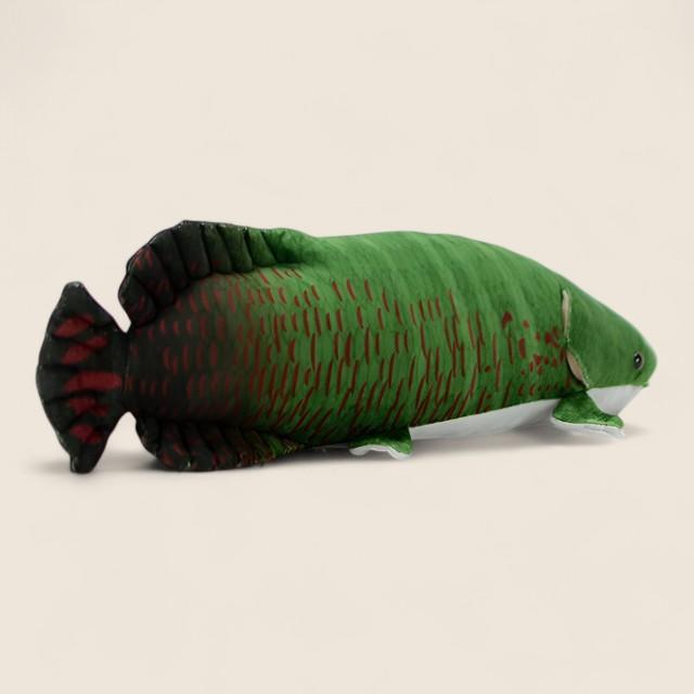 アラパイマ・ギガス フィッシュ ソフトぬいぐるみ