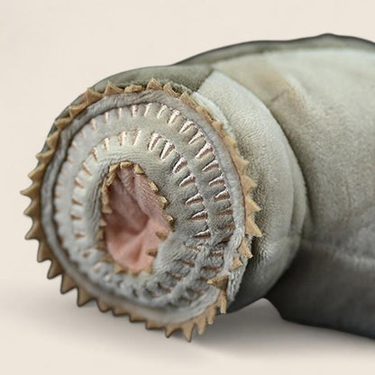 ウミウズラのやわらかいぬいぐるみ