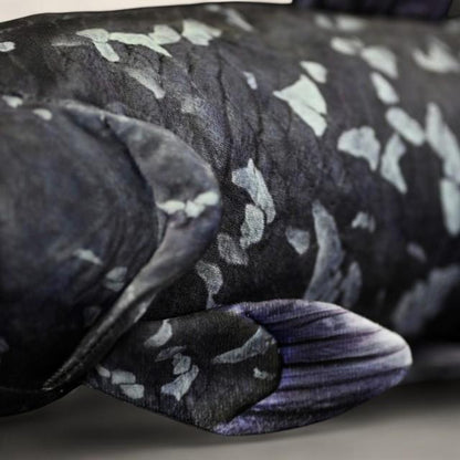 コエラカンサス ソフトぬいぐるみ