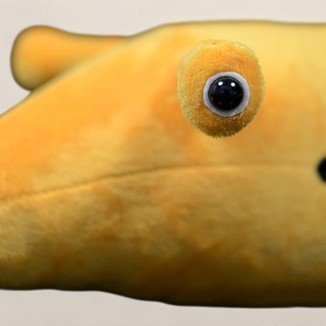 タリモンスター・タリー・モンスター ふわふわぬいぐるみ