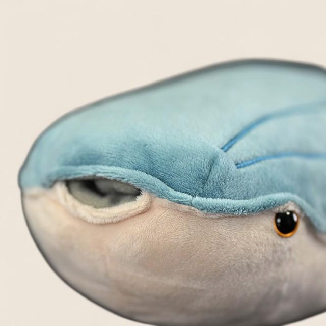 アランダスピス 先史時代の魚 ふわふわぬいぐるみ