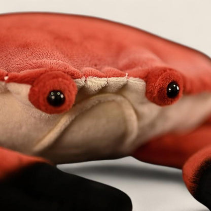 レッドロッククラブ ソフト詰め合わせぬいぐるみ