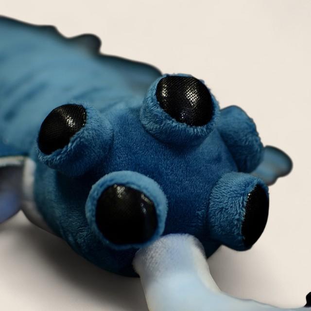 オパフィニアレガリス ソフトぬいぐるみ