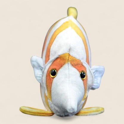 コッパーバンドバタフライフィッシュ ソフトぬいぐるみ