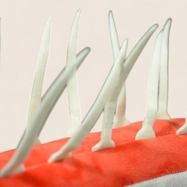 ハルシジジェニアカンブリア動物柔らかいぬいぐるみ