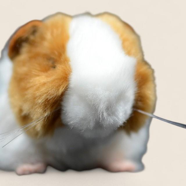 モルモットのふわふわぬいぐるみ玩具