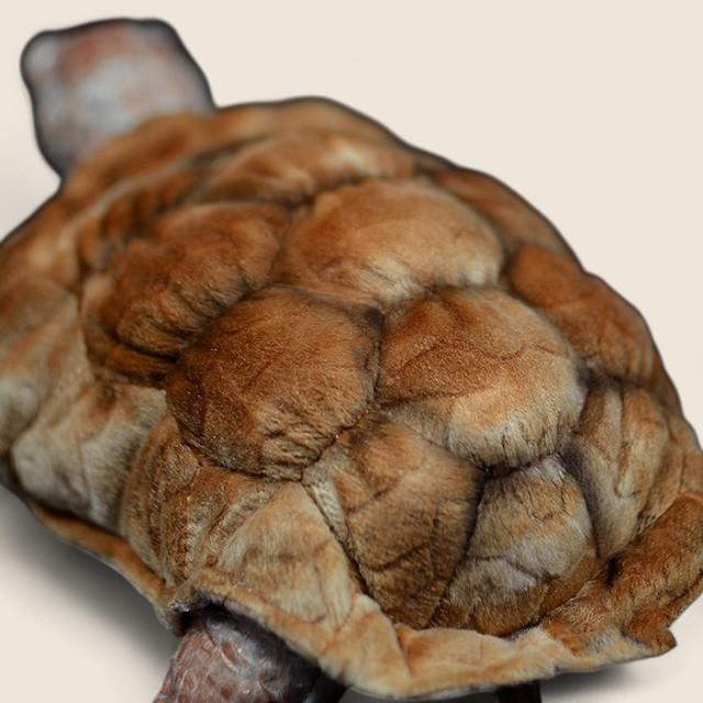 ガラパゴスゾウガメのやわらかいぬいぐるみ