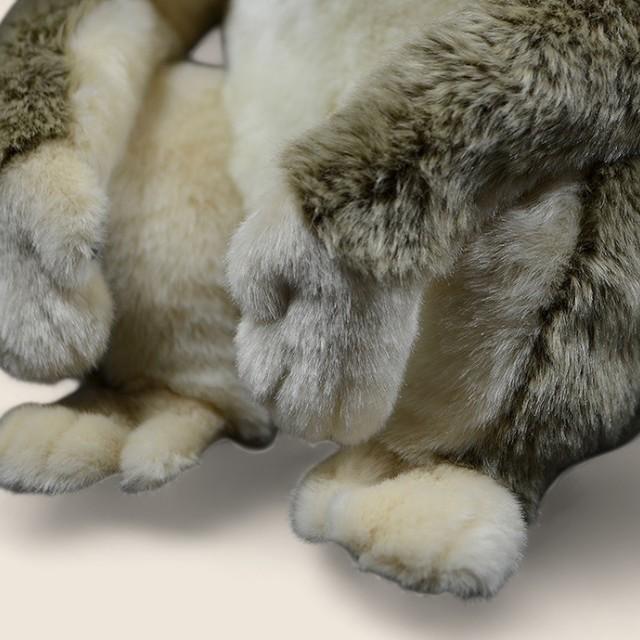 ゴールデンスナブノーズモンキービッグなぬいぐるみ