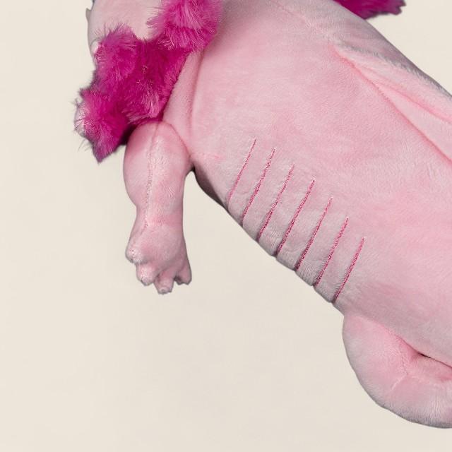 ピンクアホロートルふわふわぬいぐるみ