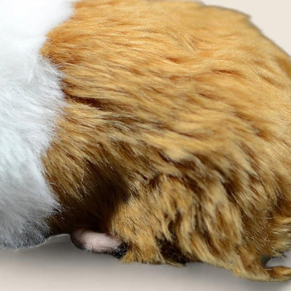 モルモットのふわふわぬいぐるみ玩具