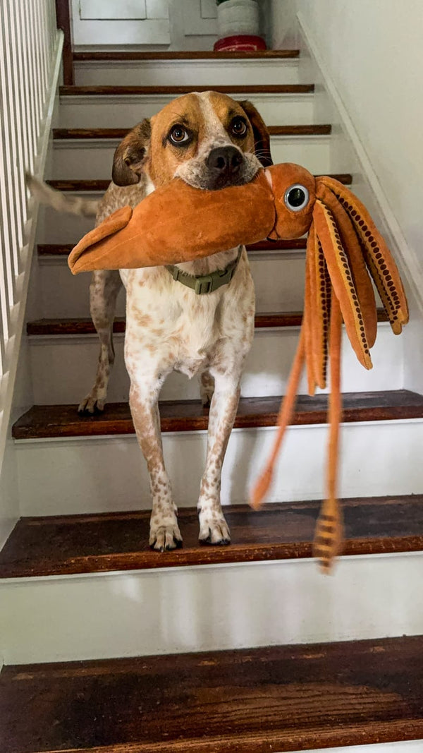 私たちの手から、子どもたちの心へ